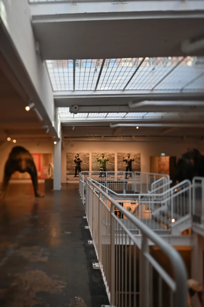 Stahl collection (22)