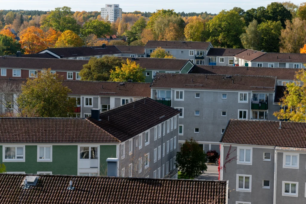 ombyggnadskultur (11)
