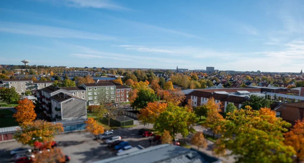 ombyggnadskultur (6)