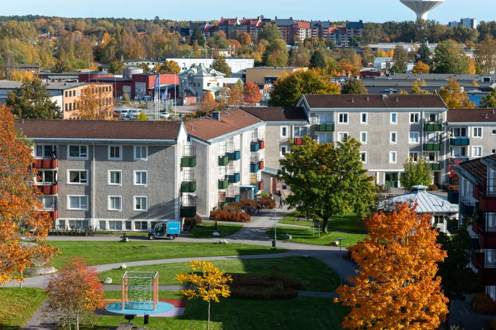 ombyggnadskultur (9)